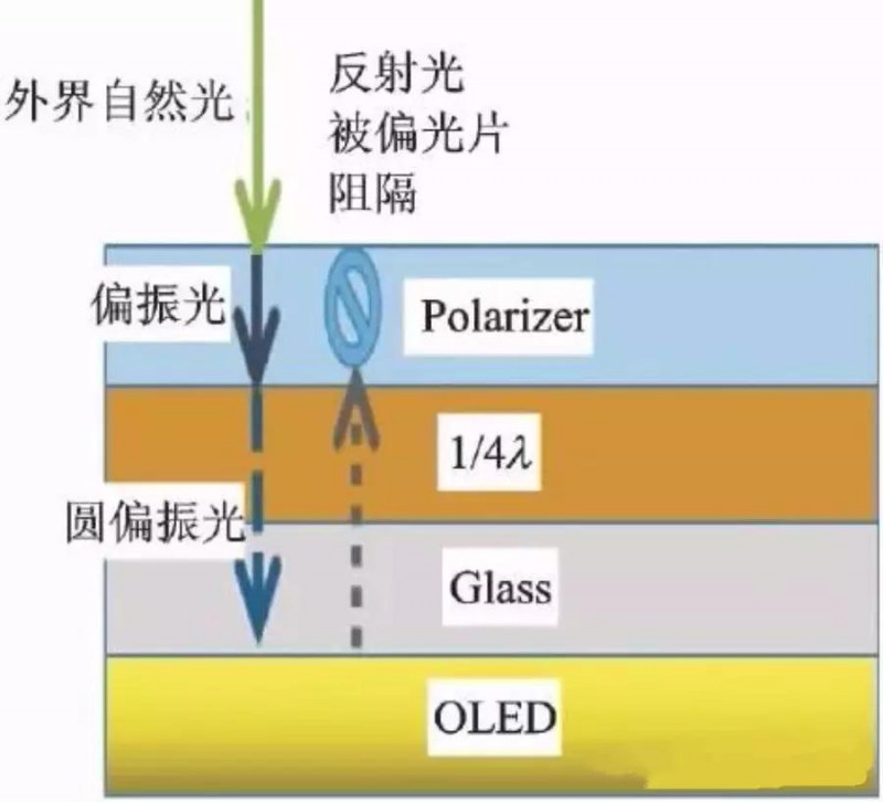 OLED用偏光片發(fā)展歷程、功能、效用、市場預(yù)測