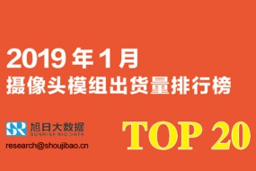 2019年1月攝像頭模組出貨量排行榜