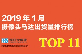 2019年1月攝像頭馬達(dá)出貨量排行榜