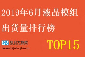 2019年6月液晶模組出貨量排行榜