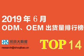 2019年6月ODM/OEM出貨量排行榜TOP14