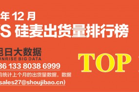 2019年12月TWS硅麥出貨量排行榜