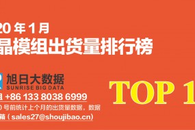 2020年1月液晶模組出貨量排行榜