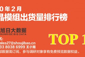 2020年2月液晶模組出貨量排行榜