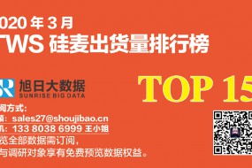 2020年3月TWS硅麥出貨量排行榜