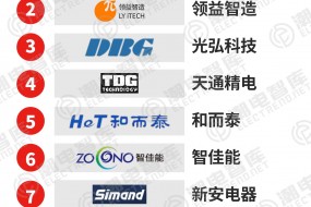 2024年全球微逆ODM/OEM代工廠TOP10